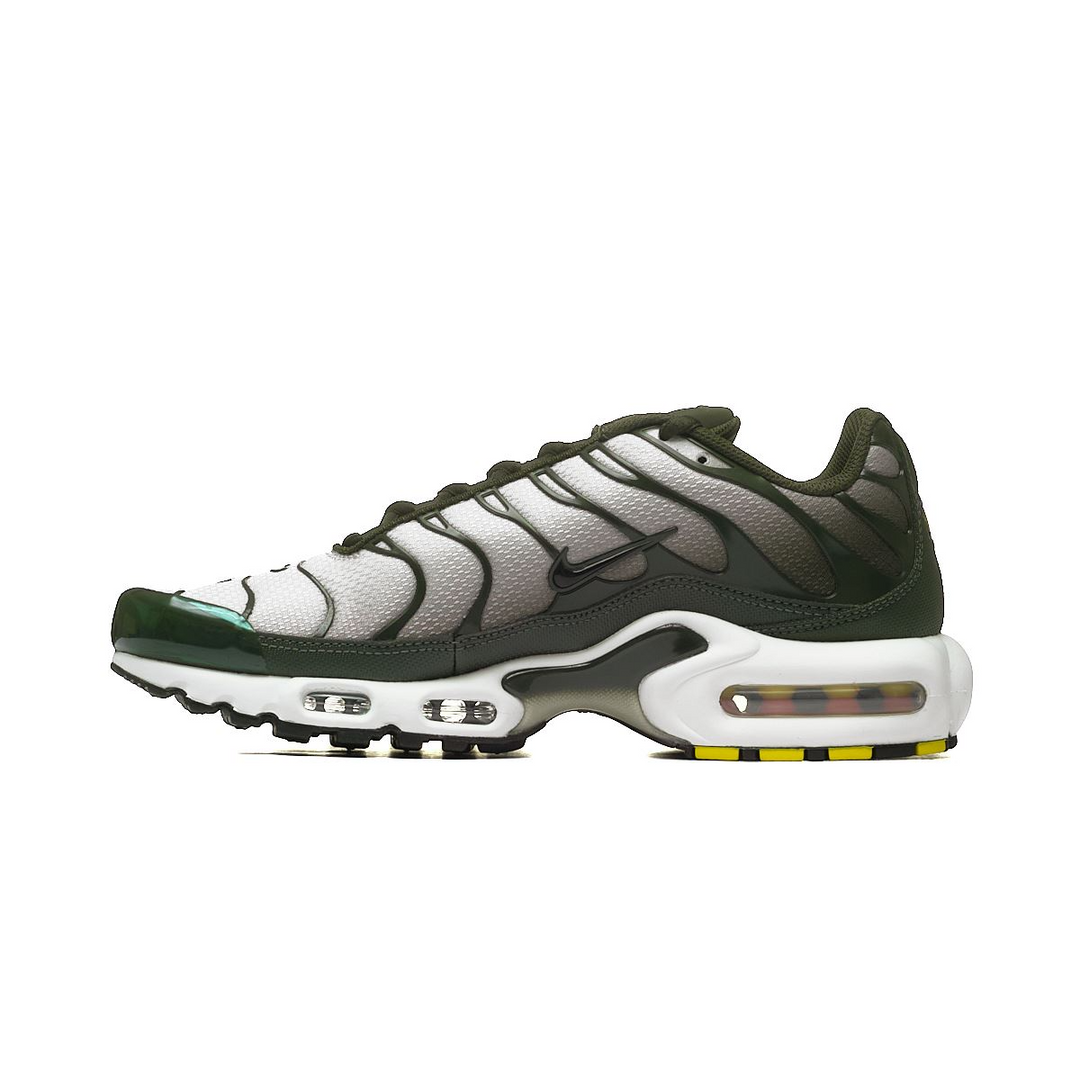 Nike Air Max Plus "Sequoia Cargo Khaki" DM0032-300