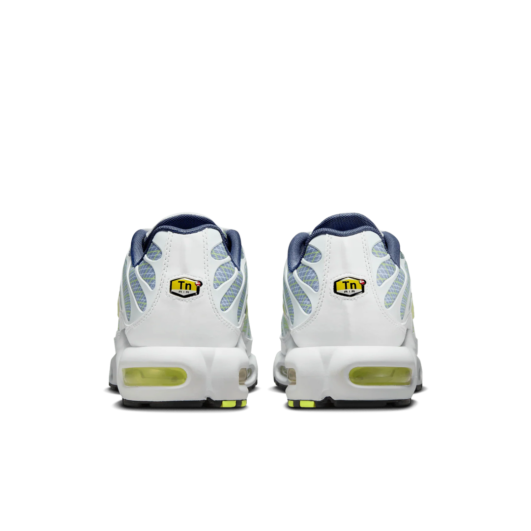 Nike Air Max Plus TN "Pebble Grey Lime" Szare HV6227-001