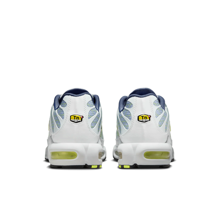Nike Air Max Plus TN "Pebble Grey Lime" Szare HV6227-001